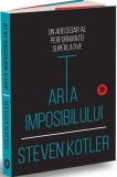 Arta imposibilului - Publica