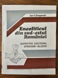 Eneoliticul din sud-estul Romaniei / Ion T. Dragomir