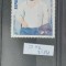 TS21 - Timbre serie republic Mali - pictura - 1981