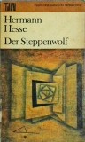Herman Hesse - Der Steppenwolf