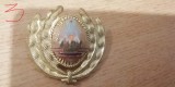 QW14 - Emblema militara / cuc - uscat - comunism - piesa de colectie