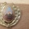 QW14 - Emblema militara / cuc - uscat - comunism - piesa de colectie