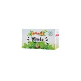 Menta Frunze Adserv 20dz