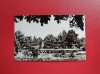 CARTE POSTALA - RSR - TECUCI - PARCUL 7 NOIMBRIE, Necirculata, Fotografie
