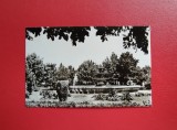 CARTE POSTALA - RSR - TECUCI - PARCUL 7 NOIMBRIE