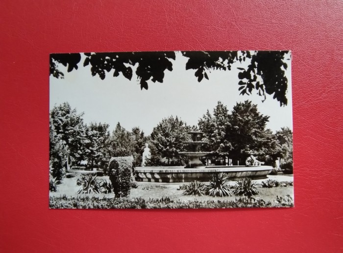 CARTE POSTALA - RSR - TECUCI - PARCUL 7 NOIMBRIE