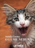 Cumpara ieftin O lume nebună - Paperback brosat - Sandu Cosma - Letras