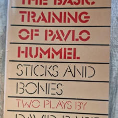 David Rabe - The Basic Training of Pavlo Hummel. Sticks and Bones.