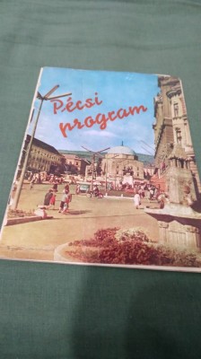 PLIANT/BROSURA-PECSI PROGRAM foto