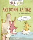 Puiu si Vulpoi. Azi dorm la tine, Editura frontiera