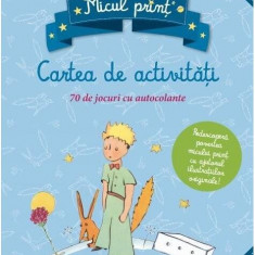 Micul Prinț: cartea de activități - Paperback brosat - Antoine de Saint-Exupéry - Litera