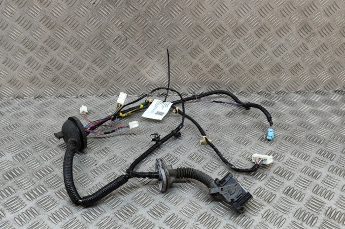 Cablaj ușă dreapta față NISSAN 350 Z Coupe Z33 2004 OEM: 24124-CD000 28465827