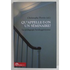 QU &#039; APPELLE - T - ON UN SEMINAIRE? LA PEDAGOGIE HEIDEGGERIENE par CHRISTOPHE PERRIN (ed.) , 2013