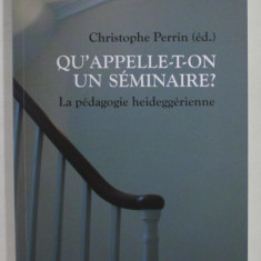 QU ' APPELLE - T - ON UN SEMINAIRE? LA PEDAGOGIE HEIDEGGERIENE par CHRISTOPHE PERRIN (ed.) , 2013