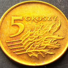 Moneda 5 GROSZY - POLONIA, anul 1991 *cod 1926 A