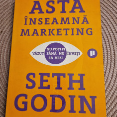 Asta inseamna marketing Seth Godin