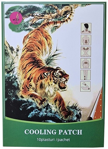 PLASTURI ANTIREUMATIC 7CM*10CM 10/CUT