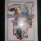 GEOGRAFIA JUDETULUI VALCEA. TEORIE SI PRACTICA volumul 5 (2005)