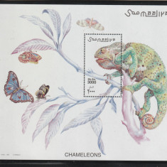 Somalia 2001-Fauna,Reptile-Cameleon,Insecte-Fluturi,colita dantelata,MNH,Bl.78