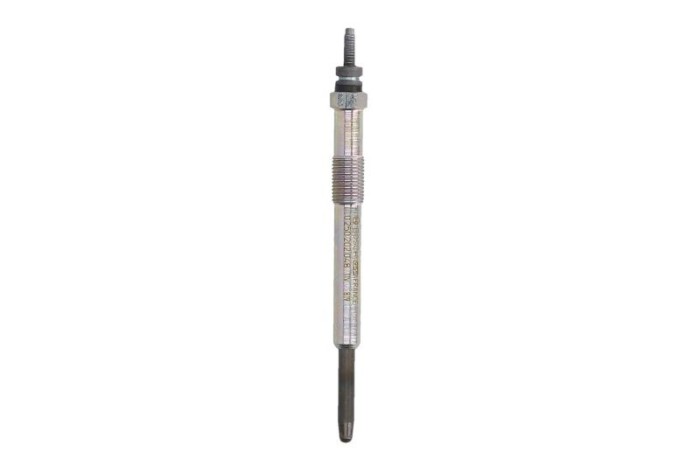 Bujie incandescenta CITROEN C5 II Break (RE) (2004 - 2016) BOSCH 0 250 202 048