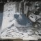 Film/teatru Romania - fotografie originala (25x19)-Impucaturi sub clar de luna 3