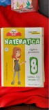 Cumpara ieftin MATEMATICA ALGEBRA GEOMETRIE CLASA A VIII A SEMESTRUL 2 -NEGRILA, Clasa 8