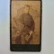 CDV, Portret, fotograf regal, renumitul Kozmata Ferencz, Budapesta, 1890