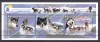Comore 1999 fauna caini MI 1736-1738 MNH, Nestampilat