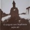 O enigma care implineste sapte ani. Timisoara, 1989-1996
