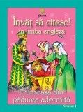 Frumoasa din Padurea Adormita. Nivelul I/***