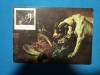 C.P. MAXIMA / JEAN BAPTISTE OUDRY / PREPELICAR