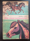 DIN VIATA ANIMALELOR - George Panu