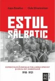 Cumpara ieftin Estul salbatic. Expeditiile razboiului finlandez spre est si criza est-europeana. 1918‑1921/Aapo Roselius, Oula Silvennoinen, Lebada Neagra