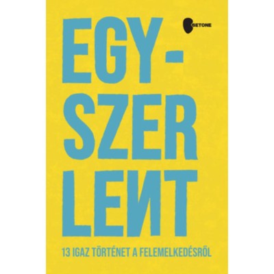 Egyszer Lent - 13 igaz t&amp;ouml;rt&amp;eacute;net a felemelked&amp;eacute;sről - Rom&amp;aacute;n Bal&amp;aacute;zs foto