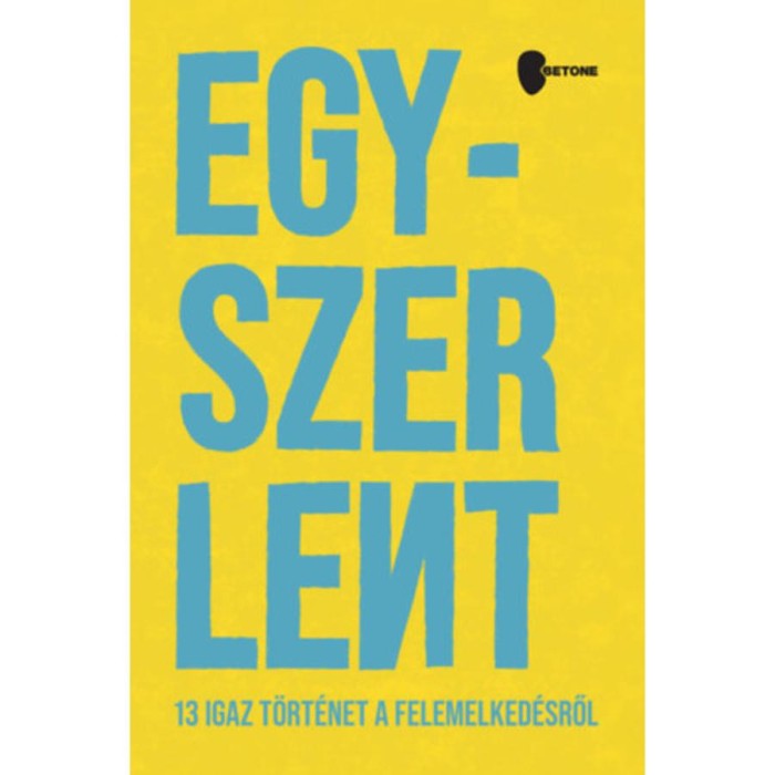 Egyszer Lent - 13 igaz t&ouml;rt&eacute;net a felemelked&eacute;sről - Rom&aacute;n Bal&aacute;zs