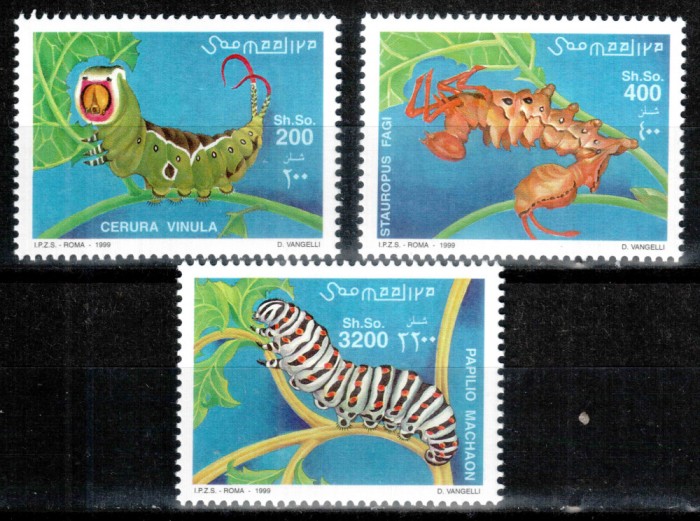 Somalia 1999, Mi #754-756**, omizi, seria, MNH, cota 13 &euro;!