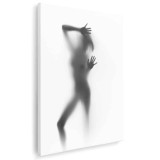 Tablou nud femeie siluetă difuză, alb, negru 1211 Tablou canvas pe panza CU RAMA 70x100 cm