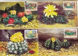 bnk fil Set 5 maxime Cactusi - 1997