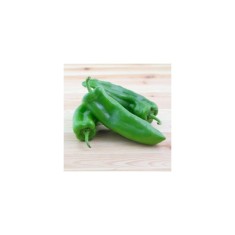 Planta Ardei dolce friggitello, planta peperone dolcetto friggitello, ghiveci de 10 cm