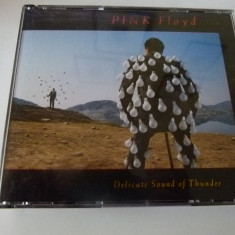 Delicate sound of Thunder - PInk Floyd -2 cd