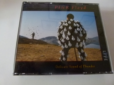 Delicate sound of Thunder - PInk Floyd -2 cd foto