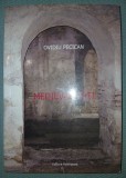 Medievalități - Ovidiu Pecican, Palimpsest 2009, Carte Istorie, Broșată, Stare Bună