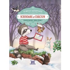 O mult asteptata scrisoare de Craciun - Annette Amrhein, Sabine Straub