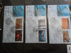 Timbre fauna marina animale stampilate ONU filatelice postale foto