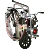 Aparat de muls Vaci Green Line T240 IN IC, 40L INOX, 2 posturi 180 l/min, Grup Colector Inox, Tanc Vacuum Inclus
