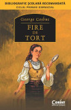 FIRE DE TORT (Bibliografie scolara)