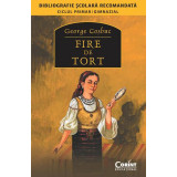 FIRE DE TORT (Bibliografie scolara)