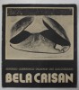 BELA CRISAN , CATALOG DE EXPOZITIE , 1987