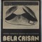 BELA CRISAN , CATALOG DE EXPOZITIE , 1987