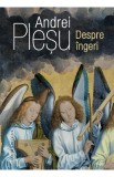 Despre ingeri - Andrei Plesu